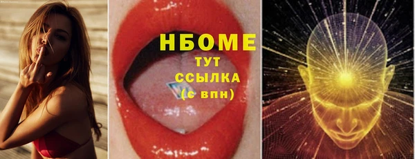 индика Мегион