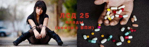 шишки Медвежьегорск