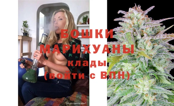 индика Мегион