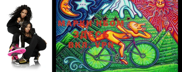 шишки Медвежьегорск