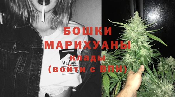 СК Михайловск