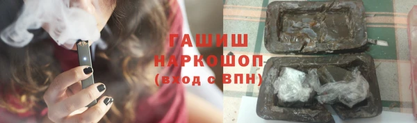шишки Медвежьегорск