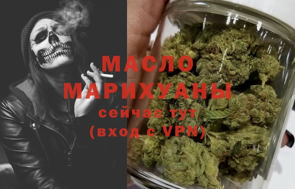 индика Мегион