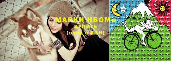 шишки Медвежьегорск