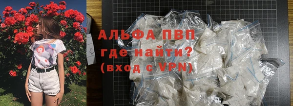 индика Мегион