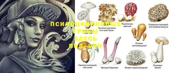 индика Мегион