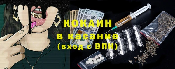 шишки Медвежьегорск
