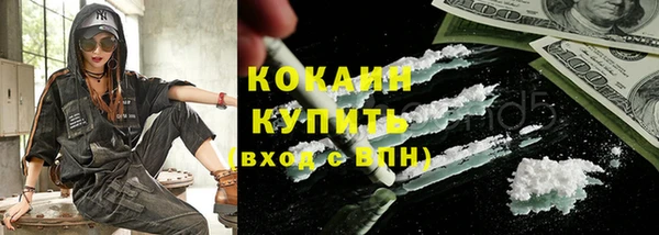 индика Мегион