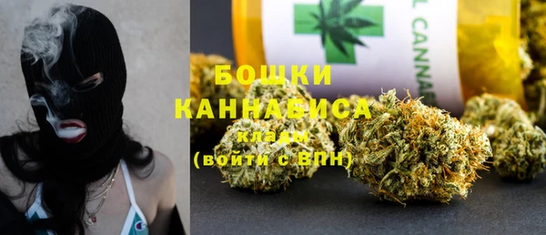 шишки Медвежьегорск