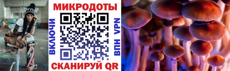 где купить наркоту  Руза  Псилоцибиновые грибы прущие грибы 
