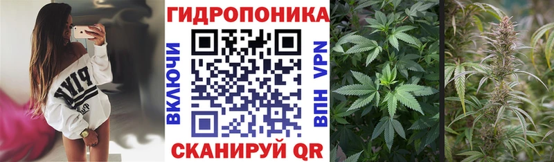 Канабис THC 21%  наркошоп  Руза 